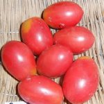 'Богатый урожай маленьких сливовидных помидорок с каждого куста - томат "Розовый изюм