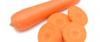 Гибридная разновидность моркови Дордонь f1