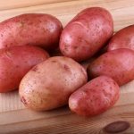 Characteristics of Crimean Rose potatoes