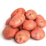 Characteristics of the potato variety Bullfinch