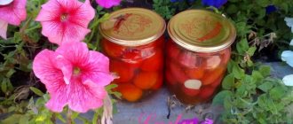 How to preserve cherry tomatoes photo recipe