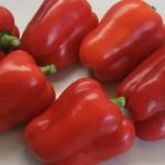 'Как правильно посадить красный крупный гибридный перец "Омброне