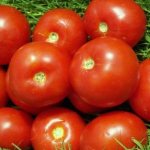 &#39;How to grow tomato &quot;Volgograd early ripening 323