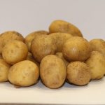 картофель латона