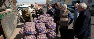 potato growing in Russia