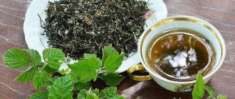 Когда собирать листья малины для чая – полезные советы травников