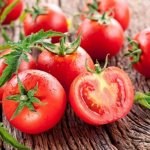 лучшие сорта томатов 2020 года