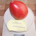 'Мясистый и очень вкусный томат "Мишка косолапый": отзывы и агротехнические приемы для повышения урожая' width="800
