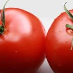 'Новый гибрид с мощными кустами и обильным урожаем помидоров - томат "Катрина f1"' width="800