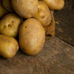 Описание картофеля Сильвана