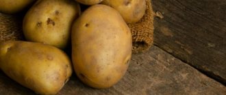 Description of Silvana potatoes