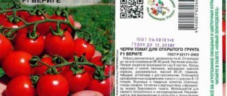 Description of tomato