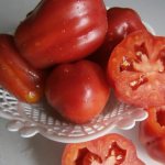 Описание томатов