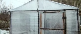 DIY stretch film greenhouse: pros and cons, reviews