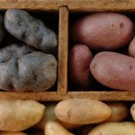 Почему картошка чернеет внутри при хранении