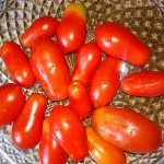 'Почему огородникам так нравится томат "Деликатес