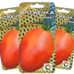 Tomatoes Altaechka