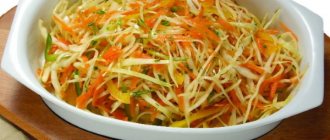 Hunter&#39;s salad for the winter. Classic recipe without sterilization with tomatoes, cucumbers, cabbage, peppers. Step by step 