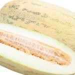&#39;The most popular and beloved melon &quot;Torpedo&quot; by many: choose the right one and grow it yourself&#39; width=&quot;800