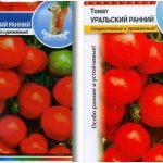 tomato seeds Ural early