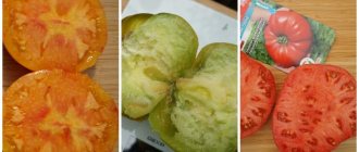 сибирские томаты; Загадка природы, Малахитовая шкатулка, Сибирский тренд