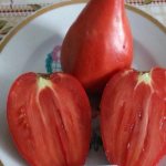 Сорт томата Московская грушовка: фото и описание