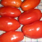 'Стоит ли выращивать томат "Княгиня": мнения дачников и секреты получения богатого урожая ароматных помидоров' width="800