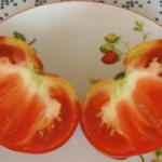 Tomato Mom&#39;s Love: reviews and description of the variety