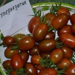 Томат Суперэкзотик описание и характеристика сорта урожайность с фото
