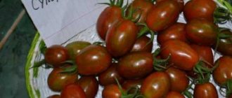 Tomato Superexotic description and characteristics of the variety, productivity with photos