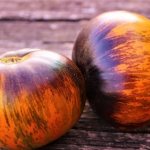 'Завораживающие внешним видом плоды-биколоры с потрясающим вкусом: томат "Мечта Алисы"' width="800